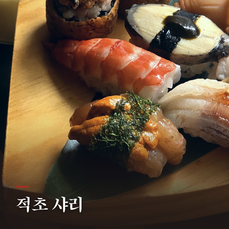 적초 샤리